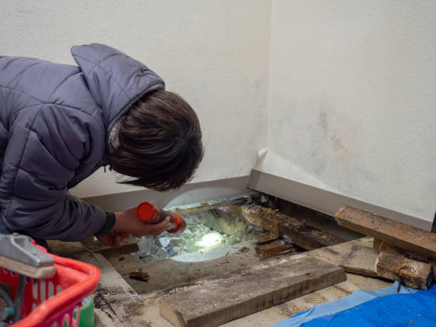 Best Indoor Air Quality Assessment  in Lake Of The Woods, AZ