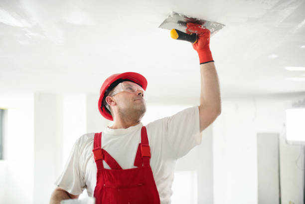 Best Mold Damage Restoration  in Lake Of The Woods, AZ