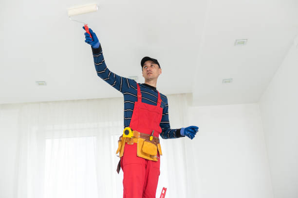 Best Dehumidification Services  in Lake Of The Woods, AZ
