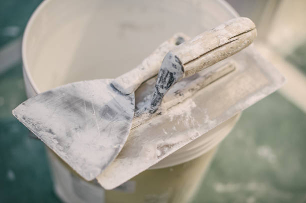 Best Black Mold Removal  in Lake Of The Woods, AZ