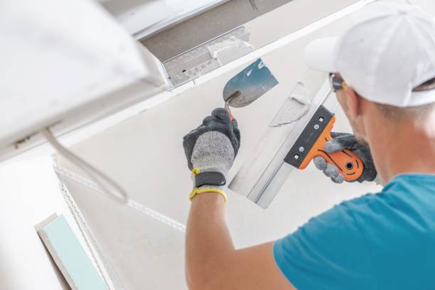 Reliable Lake Of The Woods, AZ Mold Removal Solutions